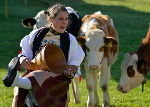 Yodel dans l'atelier de Yodel d'équipe