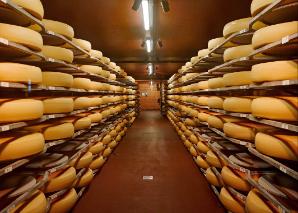 Fabriquer du fromage en Emmental