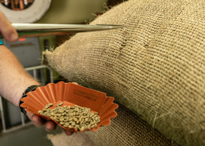 Atelier de café avec du café biologique