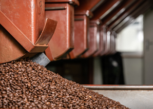 Atelier de café avec du café biologique