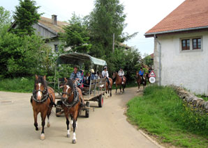 Kutschenfahrt durch den Jura