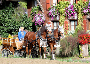 Fondues, grillades et promenades en calèche dans l'Emmental