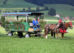 Fondue-, Grill- und Kutschenfahrten im Emmental