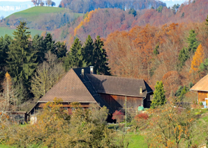 Fondues, grillades et promenades en calèche dans l'Emmental