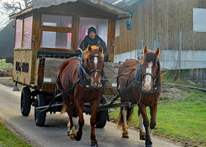 Fondue, barbecue and carriage rides in the Emmental