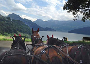 Balade en calèche au lac des Quatre Cantons