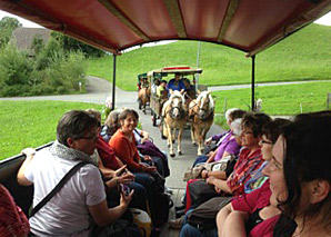 Balade en calèche au lac des Quatre Cantons