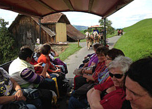 Carriage ride Weggis Luzern