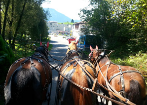 Carriage ride Weggis Luzern