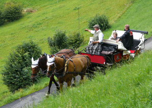 Carriage ride Weggis Luzern