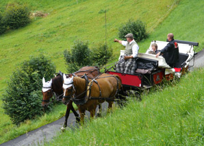 Balade en calèche au lac des Quatre Cantons