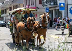 Horse-drawn carriage to the Kambly factory