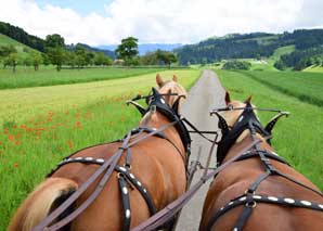 Horse-drawn carriage to the Kambly factory