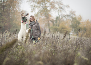 Randonnée avec des lamas à Soleure-Bucheggberg