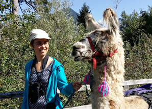 Randonnée dans l'Oberland bernois en compagnie de lamas