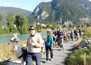 Lamatrekking im Berner Oberland