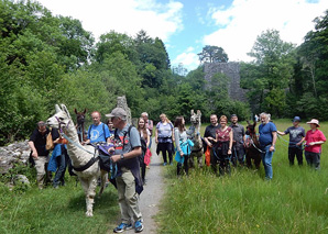 Lama trekking in the Bernese Oberland