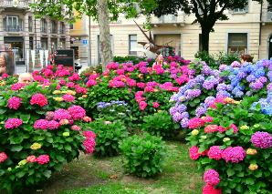 City Treasure Hunt Tessin