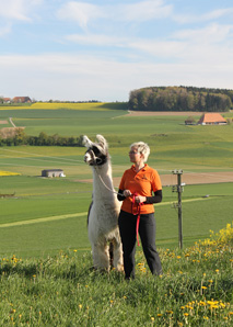 Lamas führen – Managertraining mit Tieren