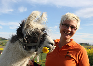 Lamas führen – Managertraining mit Tieren