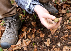 Treasure hunt with metal detector