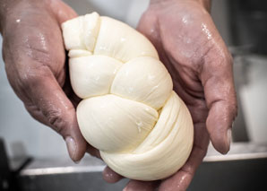 Mozzarella – Führung und Show-Produktion