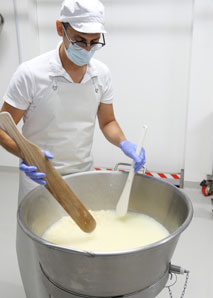 Mozzarella-Workshop