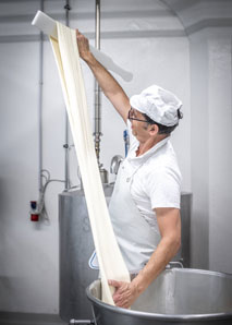 Mozzarella-Workshop