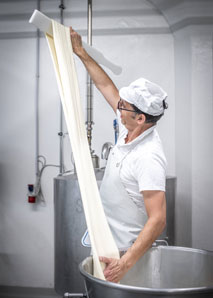 Mozzarella workshop