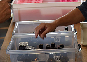 Making natural soap