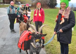 Offline-Trekking mit Geissen im Emmental