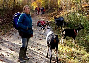 Offline-Trekking mit Geissen im Emmental