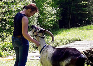 Offline-Trekking mit Geissen im Emmental