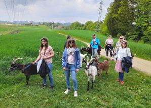 Offline-Trekking mit Geissen im Emmental