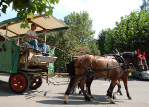 carriage ride emmental with dinner