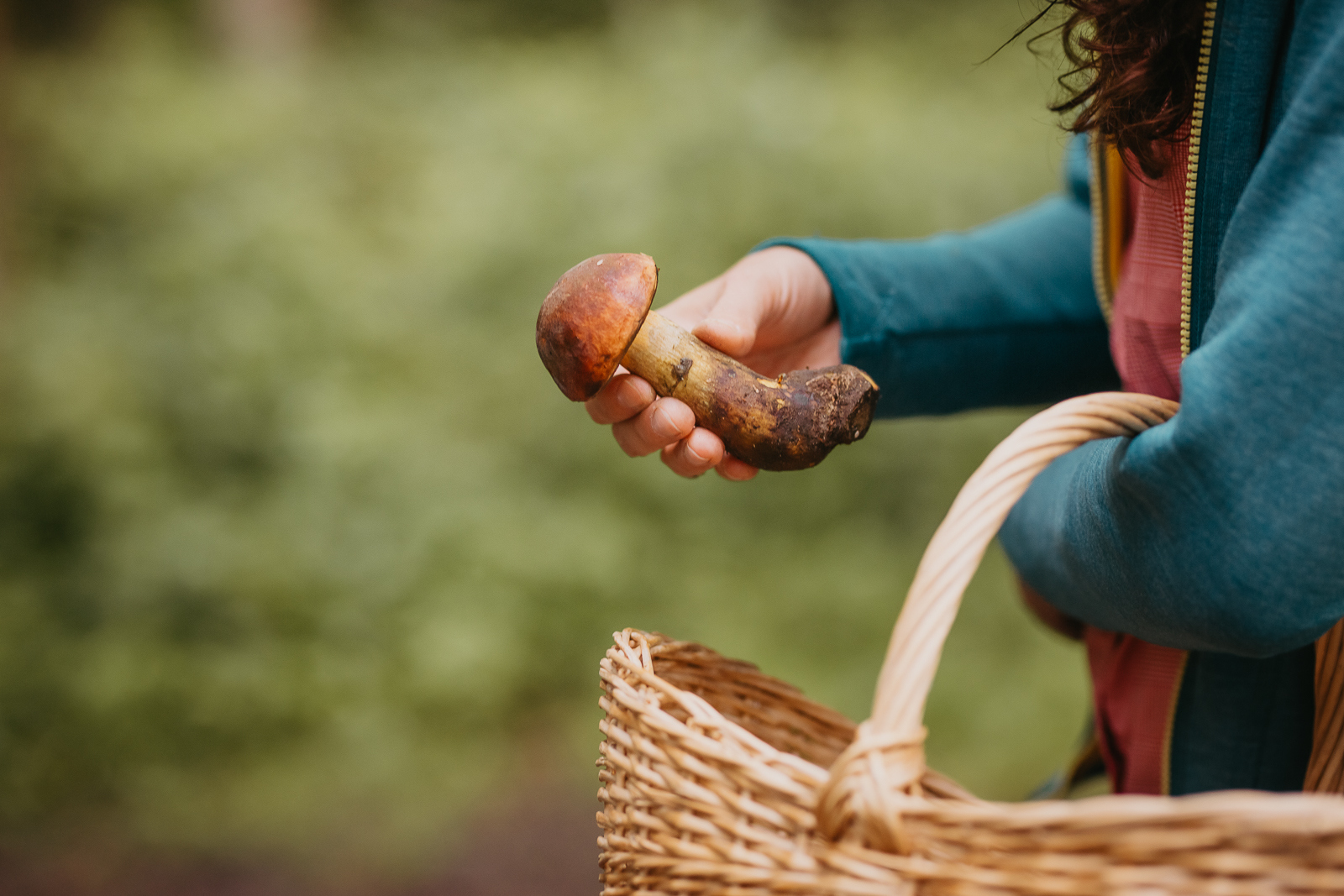 Excursion aux champignons et forêt