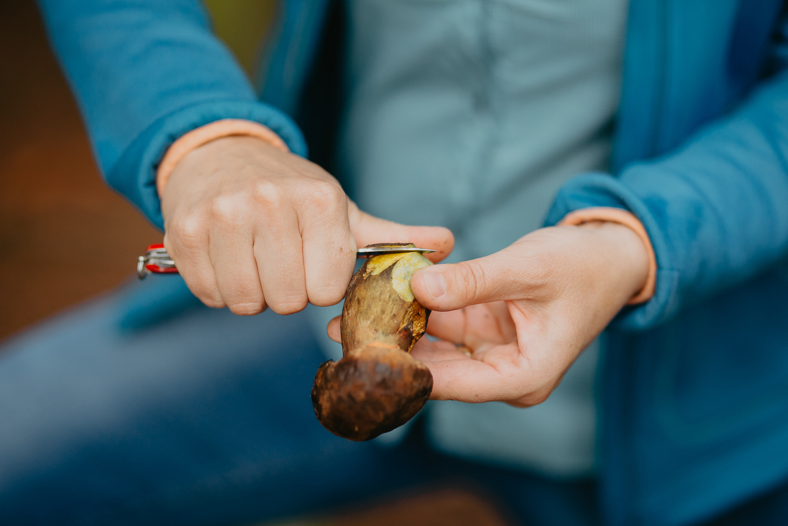 Excursion aux champignons et forêt