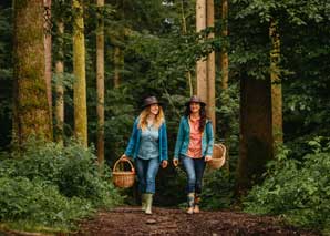 Mushroom excursion and forest