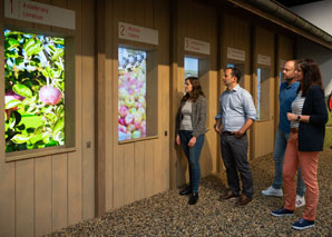 Ramseier Erlebniswelt - tour and guided tour