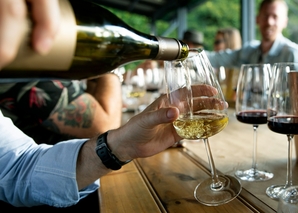 Vineyard tour and wine tasting in Burgdorf