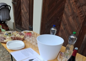 Vineyard tour and wine tasting in Burgdorf