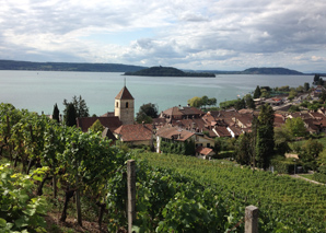 Weinrundgang in Twann mit kalter Platte