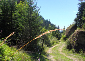 Tir au pigeon d'argile dans l'Emmental