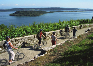 Tour en bateau sur le lac de Bienne avec événements