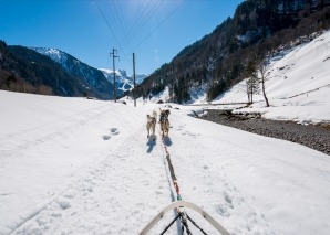 A round trip on a dog-drawn sleigh in central Switzerland