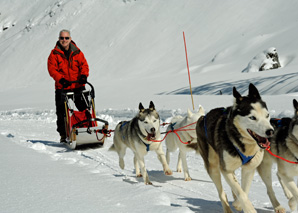 Schlittenhunde-Rundfahrt Zentralschweiz