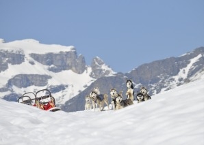 Circuit avec des chiens de traîneau en Suisse centrale