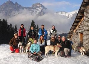 A round trip on a dog-drawn sleigh in central Switzerland