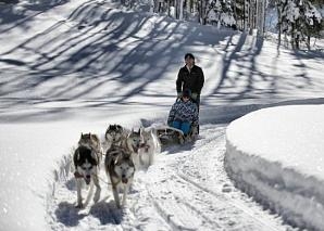 Tagestrip mit Huskies