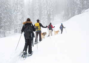 Journée aventure avec des chiens de traîneaux